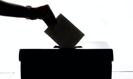 SMEs hitting the election year pause need to think again