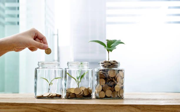 From seed to success - how to grow your small business